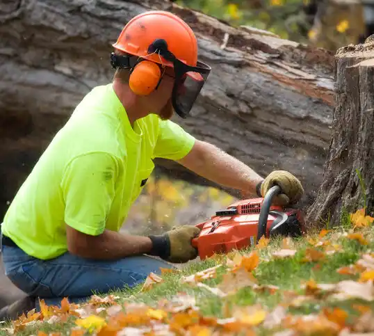 tree services Florence